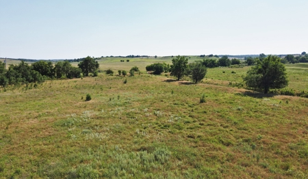Oklahoma Ranch - 314 Acres - Northern Caddo County - image 13