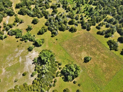 Oklahoma Ranch - 314 Acres - Northern Caddo County - image 25