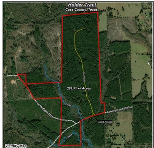 HOLDER LAND SALE, East Texas Timberland For Sale Cass County - image 1