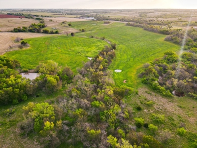 Farmland For Sale Grady County Oklahoma Hunting Property Ok - image 8