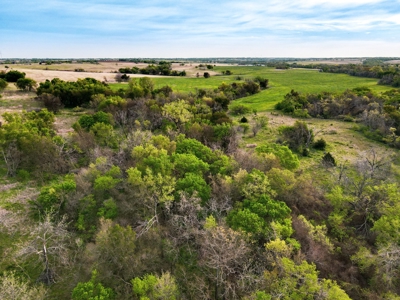 Farmland For Sale Grady County Oklahoma Hunting Property Ok - image 13