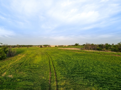 Farmland For Sale Grady County Oklahoma Hunting Property Ok - image 1