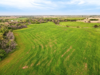 Farmland For Sale Grady County Oklahoma Hunting Property Ok - image 9