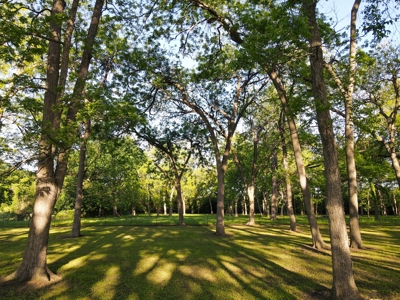 Home Land For Sale Honey Grove Fannin County Texas Property - image 41