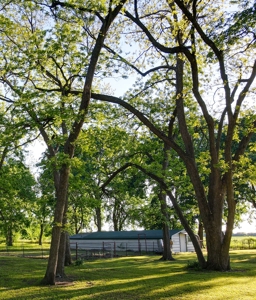 Home Land For Sale Honey Grove Fannin County Texas Property - image 42