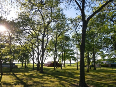 Home Land For Sale Honey Grove Fannin County Texas Property - image 39