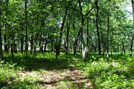 Columbia County Multi Parcel Auction Live 7/24 1PM - image 30