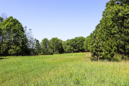 Columbia County Multi Parcel Auction Live 7/24 1PM - image 32
