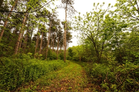 Columbia County Multi Parcel Auction Live 7/24 1PM - image 46