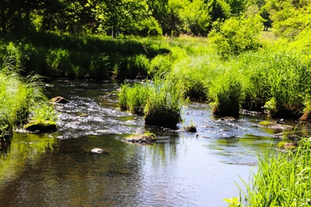 Columbia County Multi Parcel Auction Live 7/24 1PM - image 6
