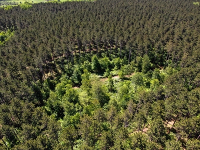 Columbia County Multi Parcel Auction Live 7/24 1PM - image 31