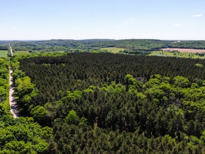 Columbia County Multi Parcel Auction Live 7/24 1PM - image 39