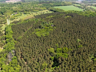 Columbia County Multi Parcel Auction Live 7/24 1PM - image 38