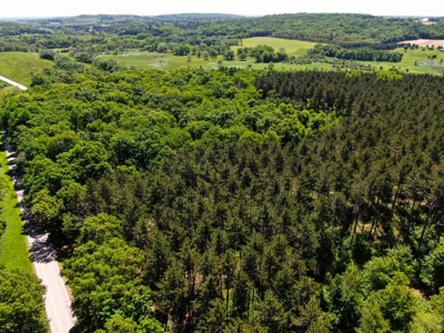 Columbia County Multi Parcel Auction Live 7/24 1PM - image 40
