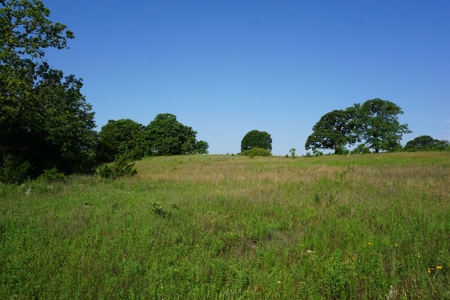 No Reserve Auction Tr 2 of 7 - 166 Ac Lincoln County OK - image 3