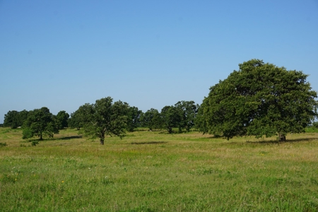 No Reserve Auction Tr 2 of 7 - 166 Ac Lincoln County OK - image 2