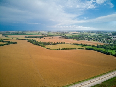 Custer County, OK ±218 Acres  River Bottom Land for Sale - image 3