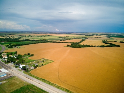 Custer County, OK ±218 Acres  River Bottom Land for Sale - image 2