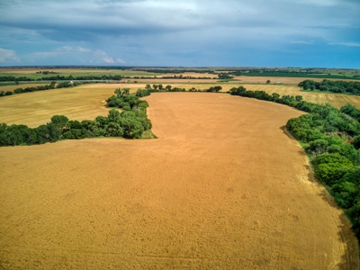 Custer County, OK ±218 Acres  River Bottom Land for Sale - image 4