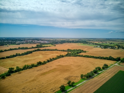 Custer County, OK ±136 Acres  River Bottom Land for Sale - image 6