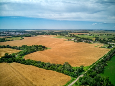 Custer County, OK ±136 Acres  River Bottom Land for Sale - image 7