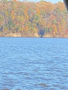 Floating Cabin, Green River Lake Campbellsville, KY For Sale - image 20
