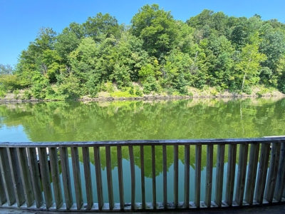 Floating Cabin Selling at Absolute Auction Green River Lake - image 7