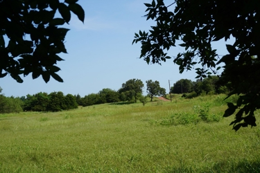 alt=