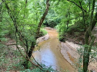 Country Home & Land For Sale w/ a Creek - Geneva Alabama - image 6