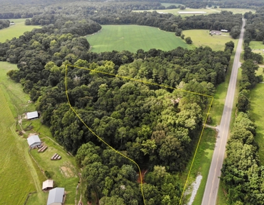 Country Home & Land For Sale w/ a Creek - Geneva Alabama - image 41