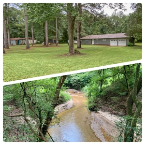 Country Home & Land For Sale w/ a Creek - Geneva Alabama - image 1