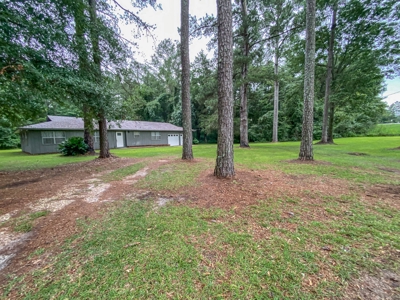 Country Home & Land For Sale w/ a Creek - Geneva Alabama - image 36