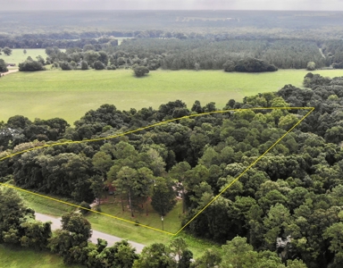 Country Home & Land For Sale w/ a Creek - Geneva Alabama - image 7