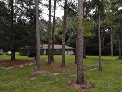 Country Home & Land For Sale w/ a Creek - Geneva Alabama - image 42
