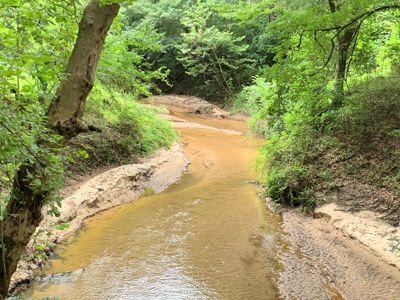Country Home & Land For Sale w/ a Creek - Geneva Alabama - image 43