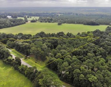 Country Home & Land For Sale w/ a Creek - Geneva Alabama - image 39
