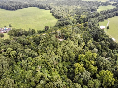 Country Home & Land For Sale w/ a Creek - Geneva Alabama - image 40
