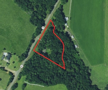 Country Home & Land For Sale w/ a Creek - Geneva Alabama - image 8