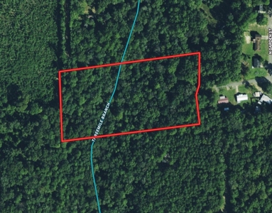 6ac of Land for Sale Geneva AL - Secluded Recreational Land - image 2