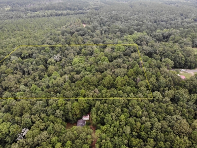 6ac of Land for Sale Geneva AL - Secluded Recreational Land - image 6