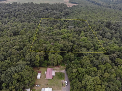 6ac of Land for Sale Geneva AL - Secluded Recreational Land - image 4