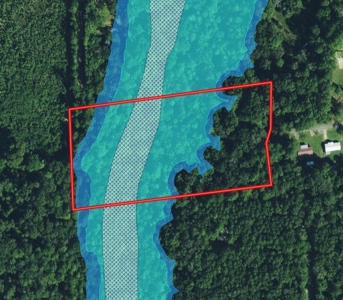 6ac of Land for Sale Geneva AL - Secluded Recreational Land - image 3