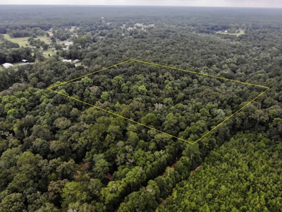 6ac of Land for Sale Geneva AL - Secluded Recreational Land - image 1