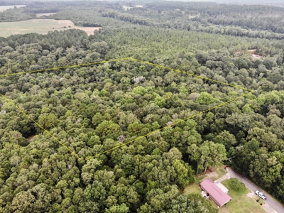 6ac of Land for Sale Geneva AL - Secluded Recreational Land - image 5