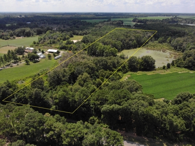 7.5ac of Land for Sale Geneva Alabama Hwy 85 - image 1