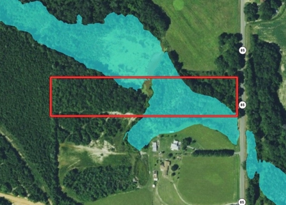 7.5ac of Land for Sale Geneva Alabama Hwy 85 - image 8