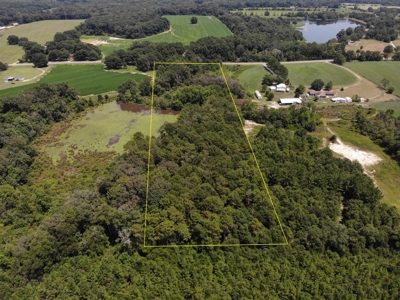 7.5ac of Land for Sale Geneva Alabama Hwy 85 - image 4