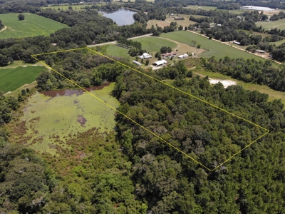 7.5ac of Land for Sale Geneva Alabama Hwy 85 - image 3