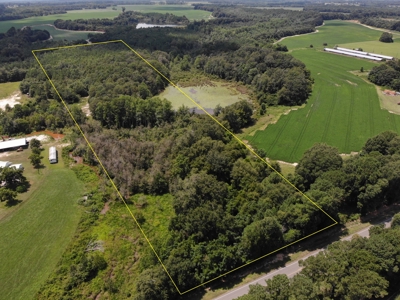 7.5ac of Land for Sale Geneva Alabama Hwy 85 - image 2