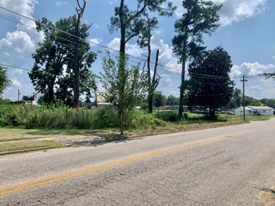 Vacant Lot for sale Hartford Alabama - Residential - image 5